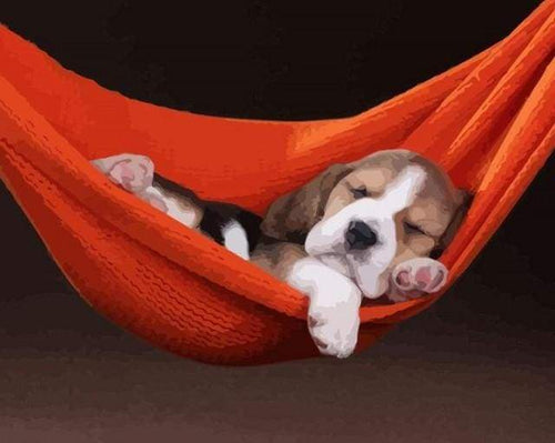 Schilderen op Nummer - Slapende hond
