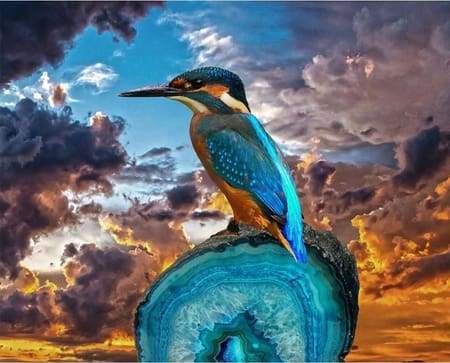 Schilderen op Nummer - Kleine vogel met lange snavel