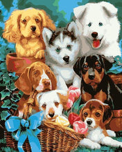 Afbeelding in Gallery-weergave laden, Schilderen op Nummer - Kleine honden in een mand