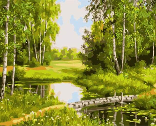Schilderen op Nummer - Kleine vijver en groen landschap