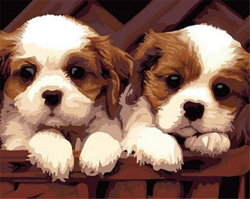 Schilderen op Nummer - Kleine puppy's