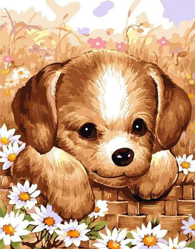 Schilderen op Nummer - Kleine puppy