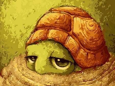 Schilderen op Nummer - Kleine Schildpad