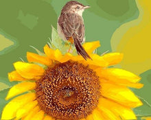Afbeelding in Gallery-weergave laden, Schilderen op Nummer - Zonnebloem en vogel