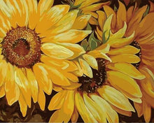 Afbeelding in Gallery-weergave laden, Schilderen op Nummer - Zonnebloem in volle bloei