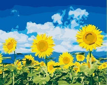 Afbeelding in Gallery-weergave laden, Schilderen op Nummer - Zonnebloemen en blauwe lucht