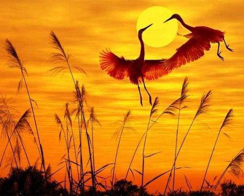 Schilderen op Nummer - Zonsondergang Kraan