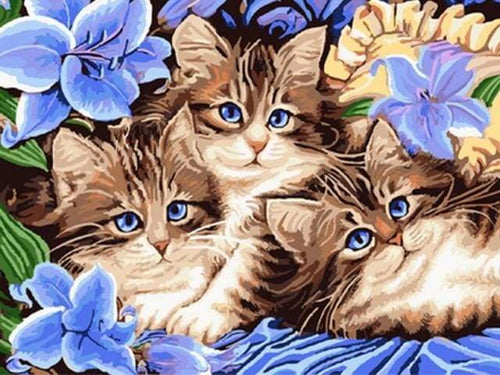 Schilderen op Nummer - De kattenfamilie
