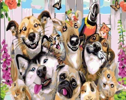 Schilderen op Nummer - De huisdierenfamilie