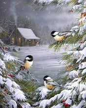 Afbeelding in Gallery-weergave laden, Schilderen op Nummer - Drie vogels in de sneeuw