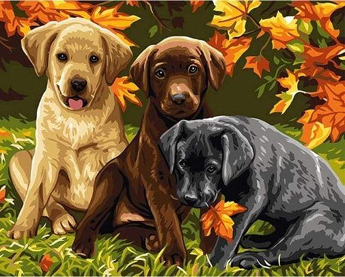 Schilderen op Nummer - Drie honden
