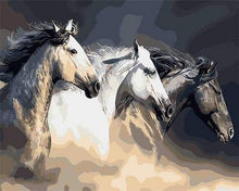 Afbeelding in Gallery-weergave laden, Schilderen op Nummer - Drie paarden