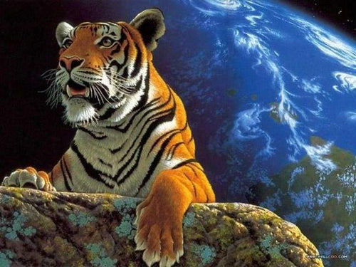 Schilderen op Nummer - Tijger en aarde