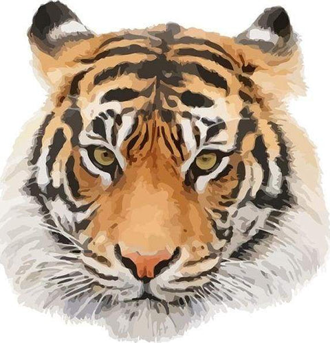Schilderen op Nummer - Tijger hoofd