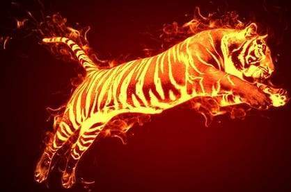 Schilderen op Nummer - Tijger in brand