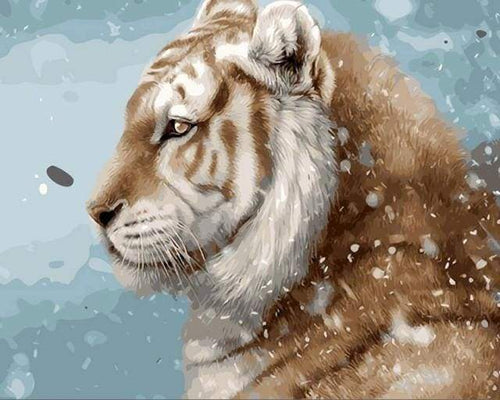 Schilderen op Nummer - Tijger in de sneeuw