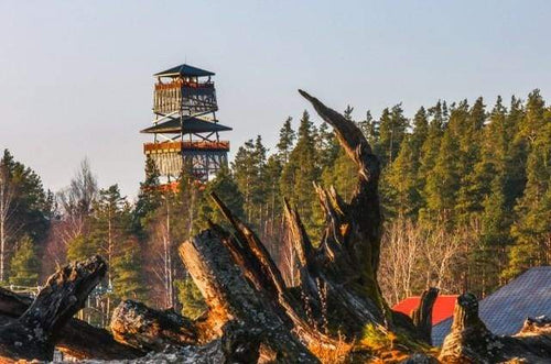 Schilderen op Nummer - Toren in het bos