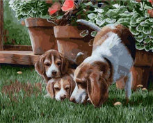 Afbeelding in Gallery-weergave laden, Schilderen op Nummer - Boom Honden