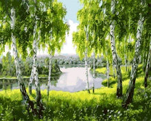Afbeelding in Gallery-weergave laden, Schilderen op Nummer - Bomen bij de rivier