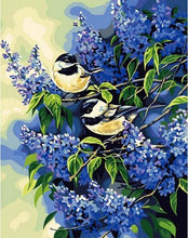 Afbeelding in Gallery-weergave laden, Schilderen op Nummer - Twee vogels op een lila tak