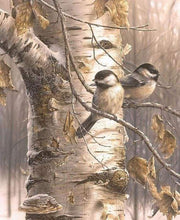 Afbeelding in Gallery-weergave laden, Schilderen op Nummer - Twee vogels op takken