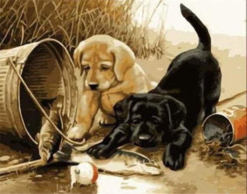 Schilderen op Nummer - Twee honden aan het spelen