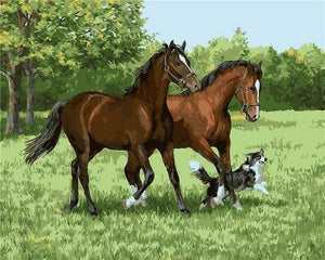 Schilderen op Nummer - Twee paarden en hond