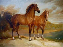 Afbeelding in Gallery-weergave laden, Schilderen op Nummer - Twee paarden aan het water