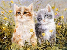Afbeelding in Gallery-weergave laden, Schilderen op Nummer - Twee kittens