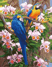 Afbeelding in Gallery-weergave laden, Schilderen op Nummer - Twee papegaaien