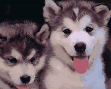 Afbeelding in Gallery-weergave laden, Schilderen op Nummer - Twee puppy&#39;s