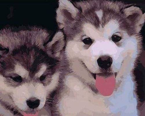 Schilderen op Nummer - Twee puppy's