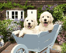 Afbeelding in Gallery-weergave laden, Schilderen op Nummer - Twee puppy&#39;s in een kruiwagen