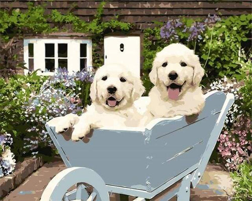 Schilderen op Nummer - Twee puppy's in een kruiwagen