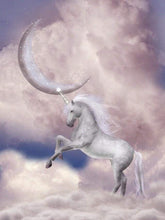 Afbeelding in Gallery-weergave laden, Schilderen op Nummer - Eenhoorn en maan in de lucht