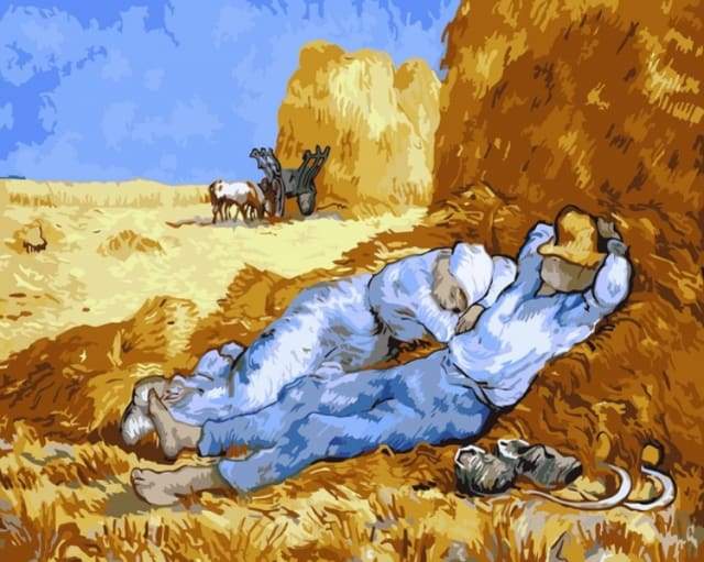 Schilderen op Nummer - Van Gogh Veld