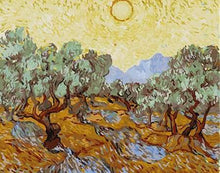 Afbeelding in Gallery-weergave laden, Schilderen op Nummer - Van Gogh St Remy