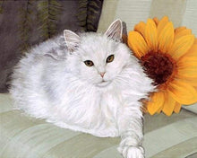 Afbeelding in Gallery-weergave laden, Schilderen op Nummer - Witte kat en zonnebloem