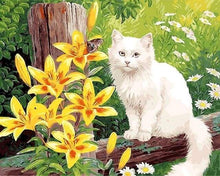 Afbeelding in Gallery-weergave laden, Schilderen op Nummer - Witte kat en gele bloemen