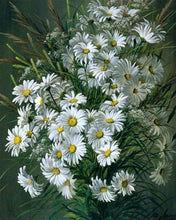 Afbeelding in Gallery-weergave laden, Schilderen op Nummer - Witte madeliefjes bloemen