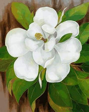 Afbeelding in Gallery-weergave laden, Schilderen op Nummer - Witte bloem en groene bladeren
