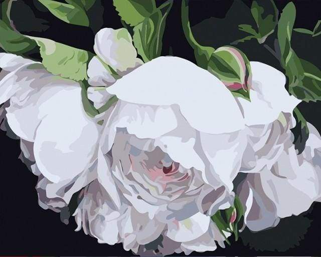 Schilderen op Nummer - Witte bloemen portret