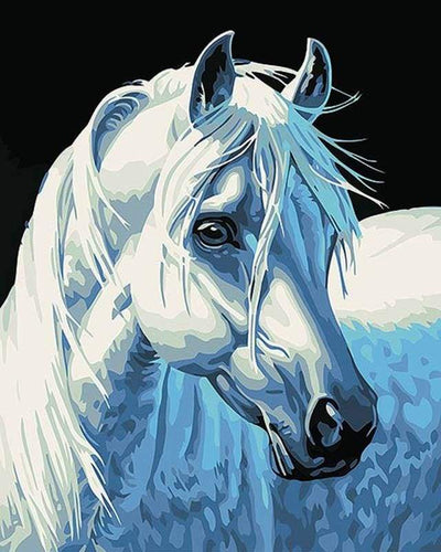 Schilderen op Nummer - Hoofd van het witte paard