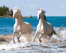 Afbeelding in Gallery-weergave laden, Schilderen op Nummer - Witte paarden en kust