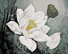 Afbeelding in Gallery-weergave laden, Schilderen op Nummer - Witte lotus