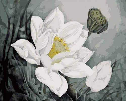 Schilderen op Nummer - Witte lotus
