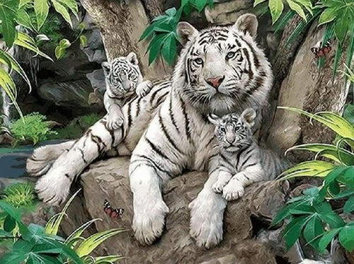 Schilderen op Nummer - Witte Tijger familie