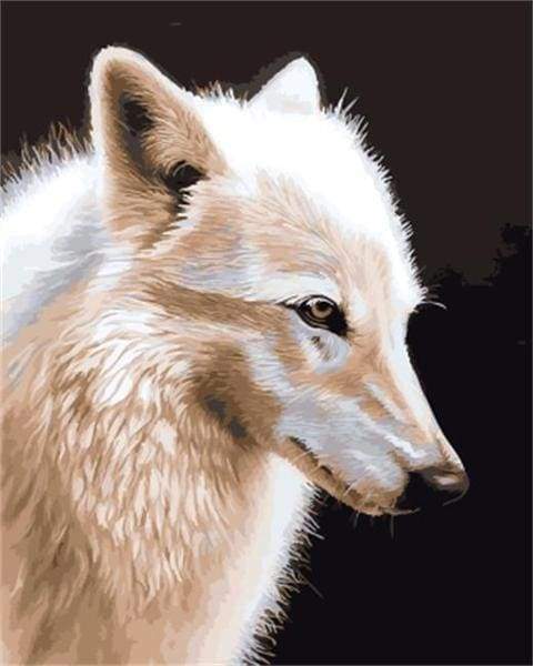 Schilderen op Nummer - witte wolf