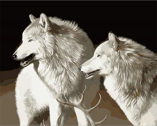 Schilderen op Nummer - Witte wolven