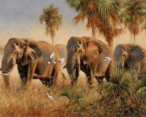 Schilderen op Nummer - Wilde olifanten